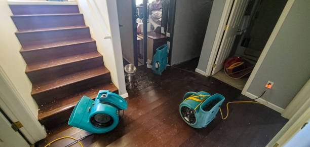 Wickes, AR Water damage restoration Company