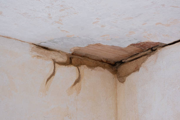 Best Local water damage restoration  in Wickes, AR