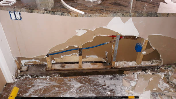 Best Basement water damage restoration  in Wickes, AR