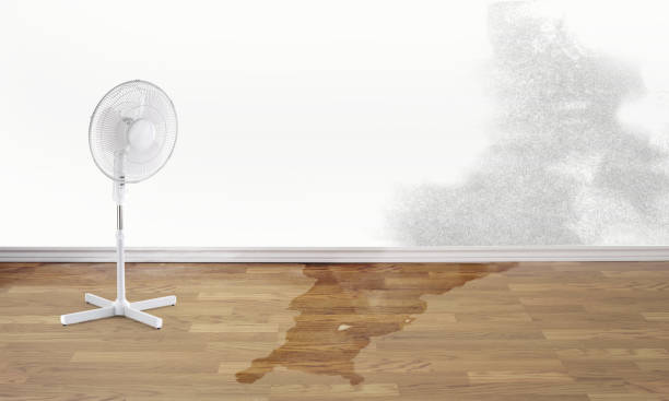  Wickes, AR Water damage restoration Pros
