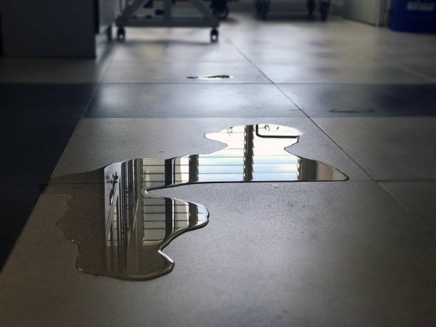 Best Water damage restoration cost  in Wickes, AR