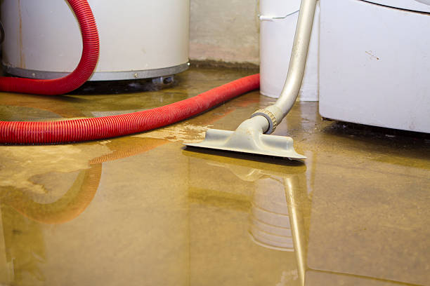 Sewage cleanup and water damage restoration in Wickes, AR
