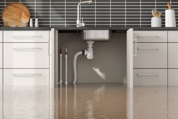 Best Ceiling water damage repair  in Wickes, AR