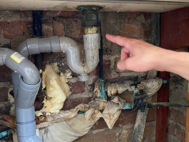 Best Fire Damage Restoration  in Wickes, AR
