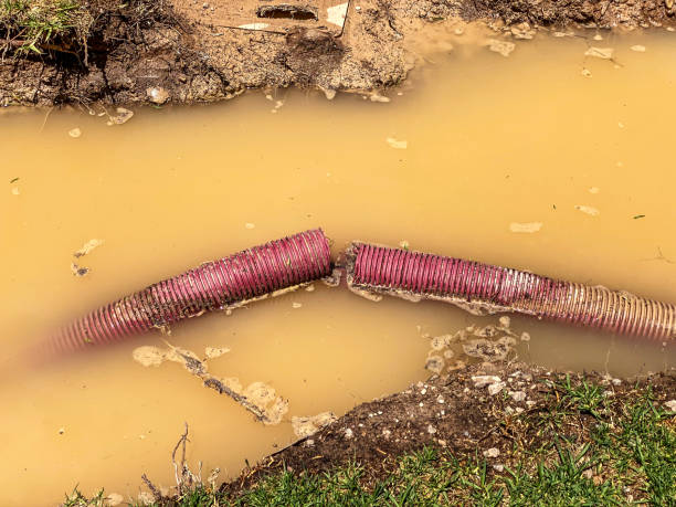 Best Residential water damage restoration  in Wickes, AR